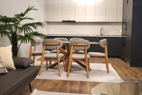 Shtepi me qera 2+1 ne Tirane - 1,500 Euro