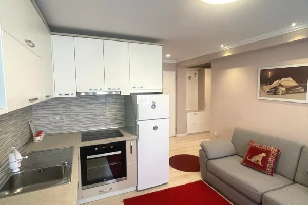 Shtepi me qera 1+1 ne Tirane - 900 Euro