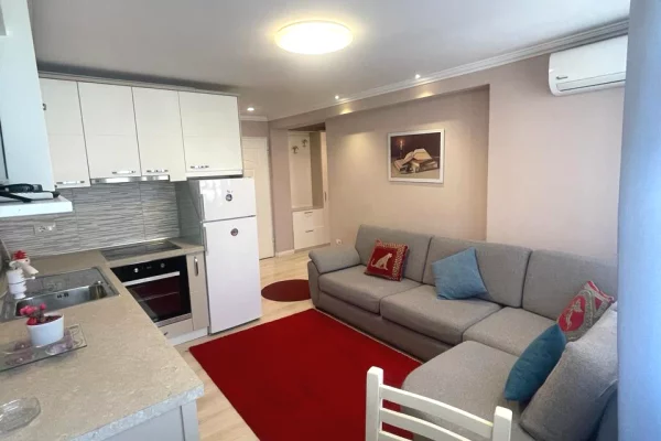 Apartment for rent in Tirana 1+1, In Part