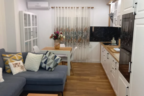 Shtepi me qera Apartament ne Tirane, 1+1, Mobilimi E mobiluar, Pagesa 750  Euro.