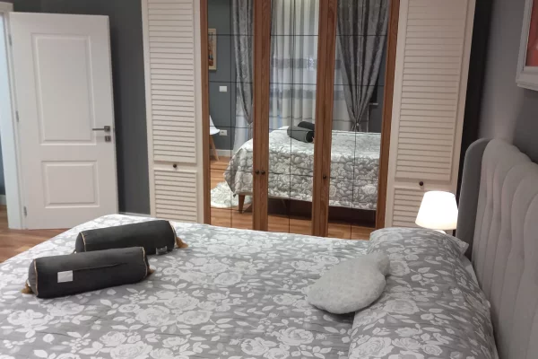 Shtepi me qera Apartament ne Tirane, 1+1, Mobilimi E mobiluar, Pagesa 750  Euro.