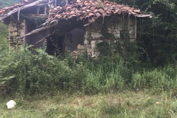 Shitet toke + Shtepi e Vjeter ne Linze,Dajt/90,000 euro