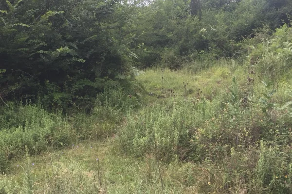 Truall ose Toke ne Tirane - 90,000 Euro