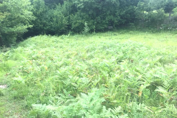 Truall ose Toke ne Tirane - 90,000 Euro