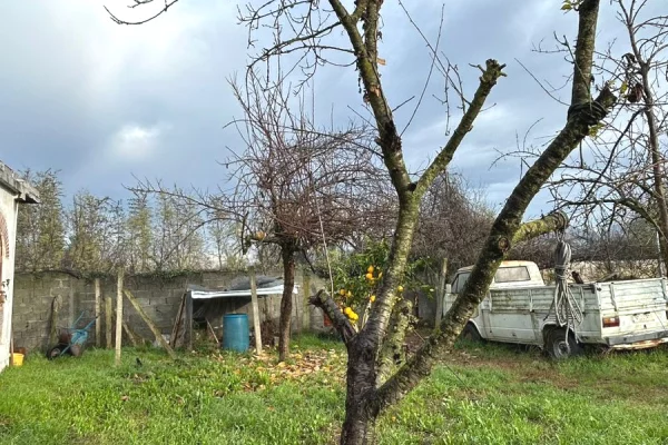 Shtepi me qera Apartament ne Tirane, 1+1, Mobilimi E mobiluar, Pagesa 30,000  Leke.