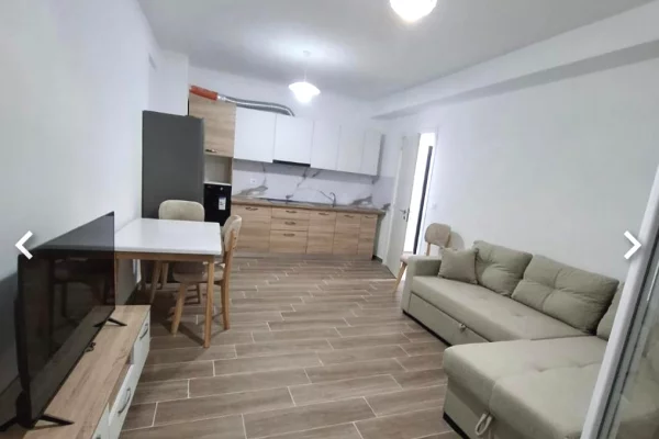 Shtepi me qera Apartament ne Tirane, 2+1, Mobilimi E mobiluar, Pagesa 500  Euro.