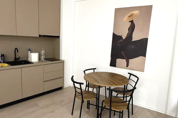 Shtepi me qera Garsoniere ne Tirane - 500 Euro