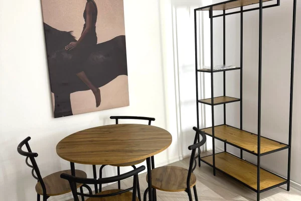 Apartment for rent in Tirana Garsoniere, Furnished