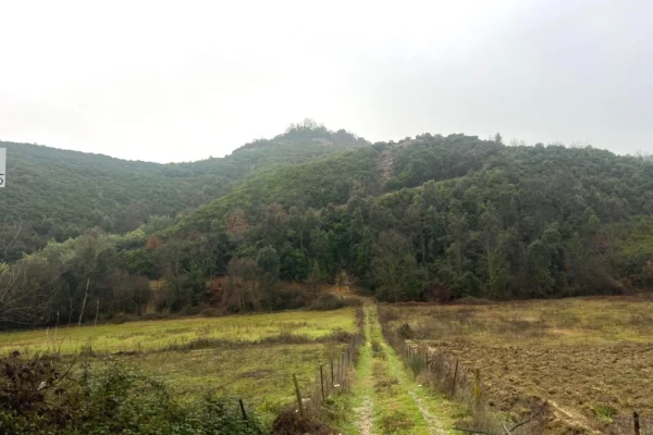 Truall ose Toke  ne Tirane - 400,000 Euro