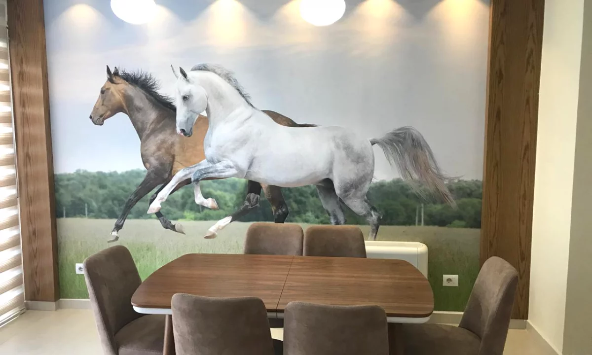 Luxury villas for sale in Tirana 6+1, Furnished