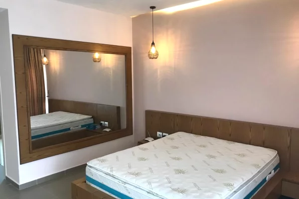 Luxury villas for sale in Tirana 6+1, Furnished