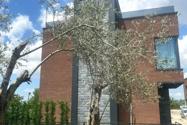 Shtepi ne shitje Vila Luksoze ne Tirane, 4+1, Mobilimi Bosh, pa mobiluar, Pagesa 620,000  Euro.