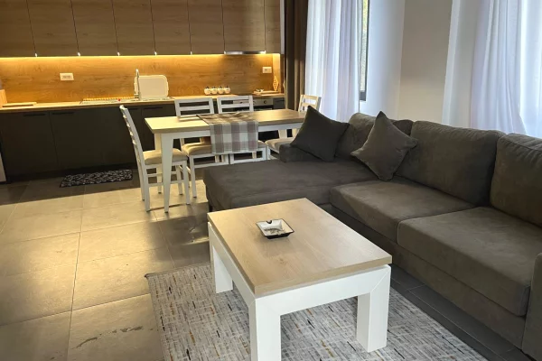 Shtepi me qera 1+1 ne Tirane - 60,000 Leke