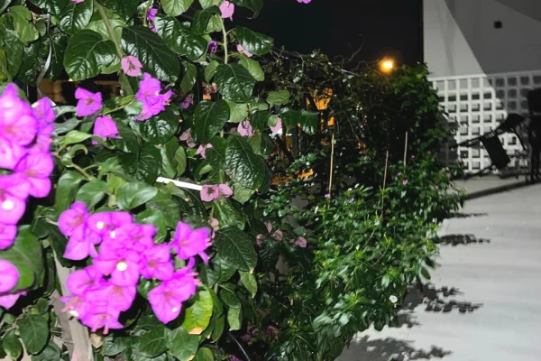 Shtepi me qera Shtepi Private ne Tirane, 1+1, Mobilimi E mobiluar, Pagesa 60,000  Leke.