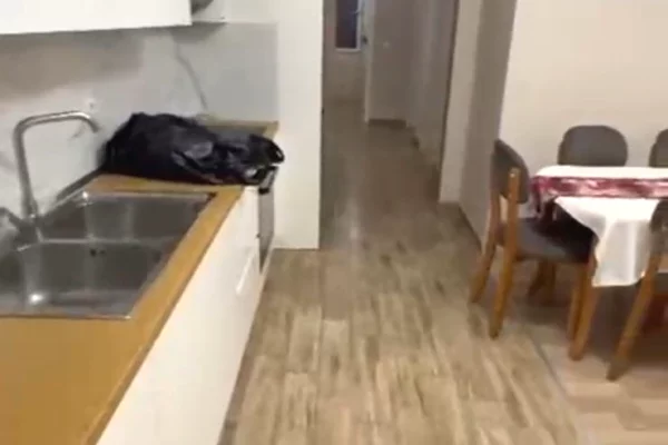 Shtepi me qera Apartament ne Tirane, 2+1, Mobilimi E mobiluar, Pagesa 400  Euro.