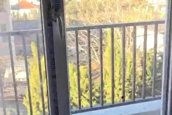 Shtepi me qera 2+1 ne Tirane - 35,000 Leke