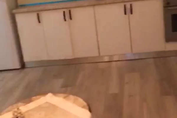 Shtepi me qera 1+1 ne Tirane - 35,000 Leke