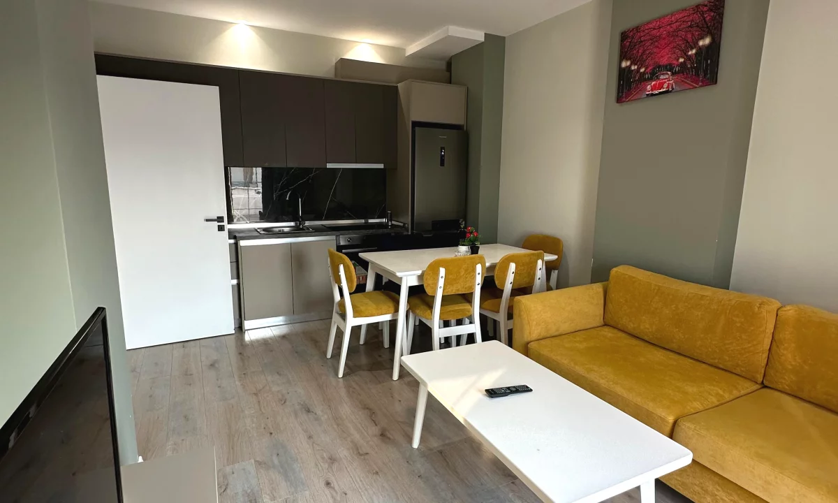 Shtepi me qera Apartament ne Tirane, 1+1, Mobilimi E mobiluar, Pagesa 500  Euro.