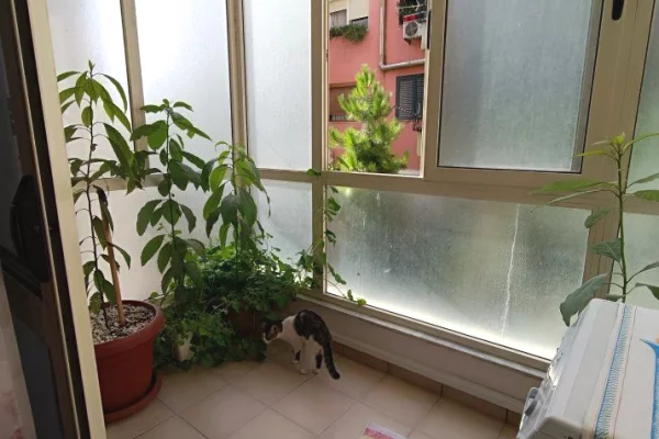 Apartment for sale in Tirana 2+1, Furnished