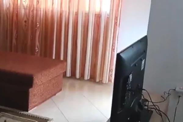 Shtepi me qera Apartament ne Tirane, 2+1, Mobilimi E mobiluar, Pagesa 50,000  Leke.