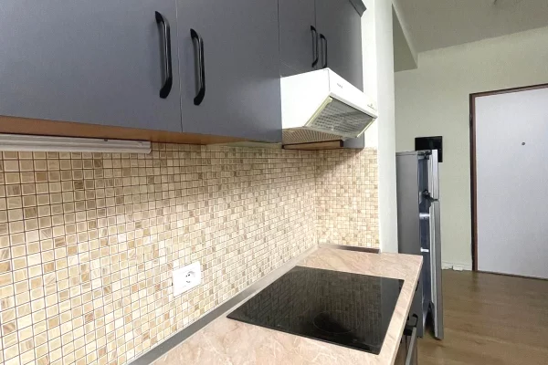 Apartment for rent in Tirana 1+1, Furnished