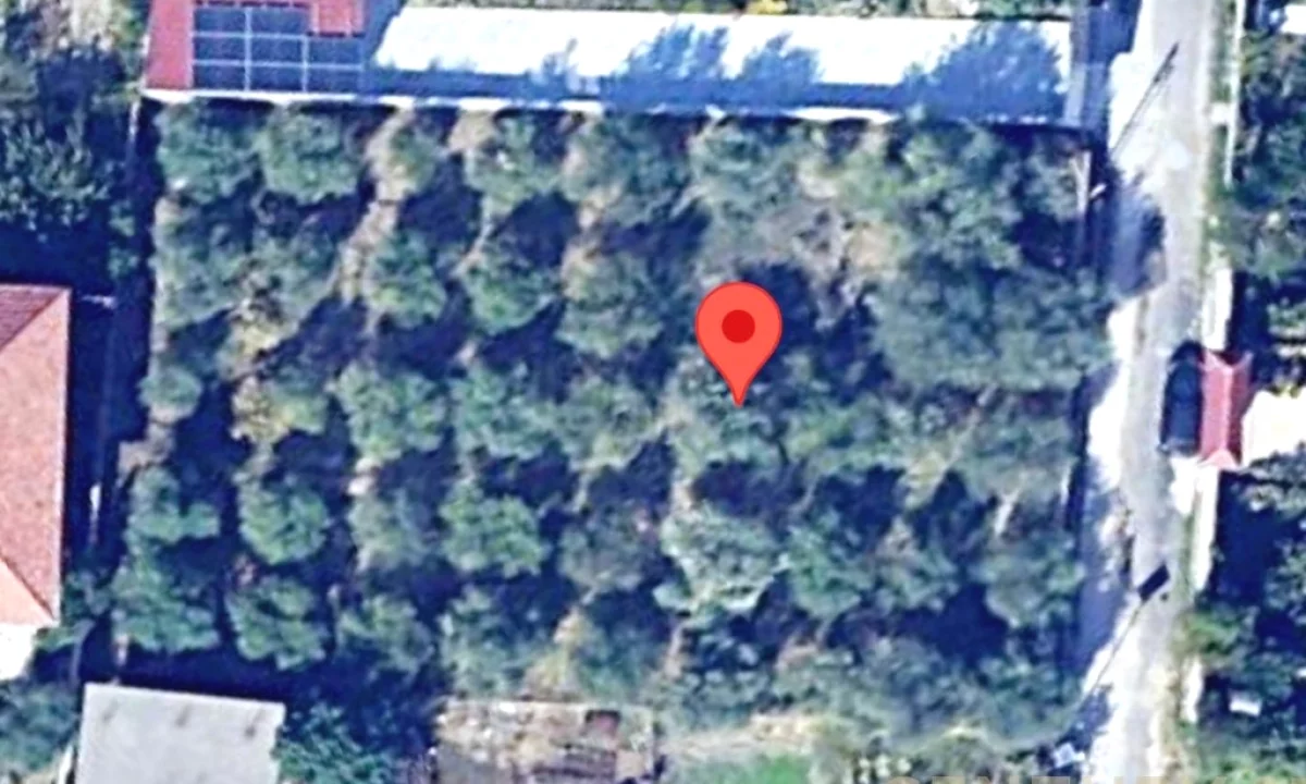 Shotet Toke ne Fier/45,500 Euro