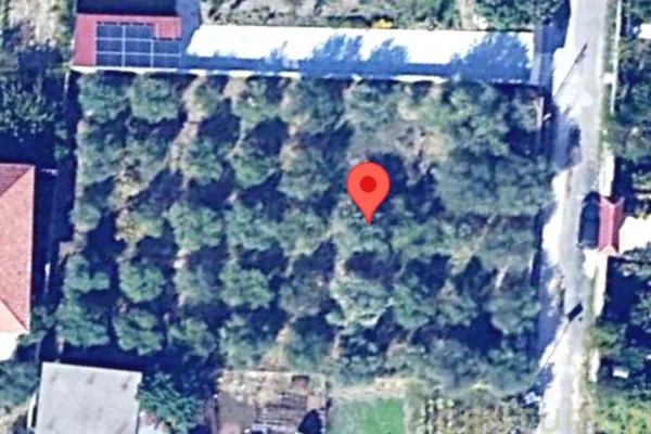 Truall ose Toke ne Fier - 45,500 Euro