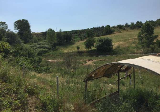 Shitet toke ne Cerkeze / Kamez, Cmimi: 155.000Euro i diskutueshem