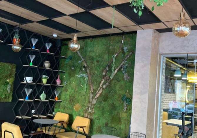 Ambient biznesi me qera 1+1 ne Tirane - 3,000 Euro