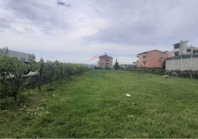 Truall ose Toke ne Tirane - 462,000 Euro