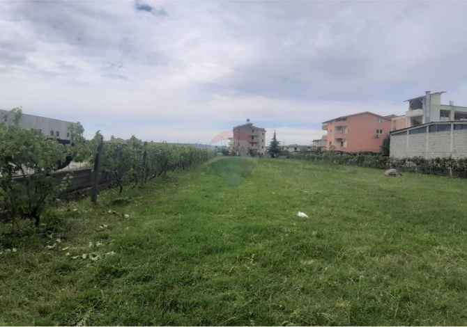 Truall ose Toke ne Tirane - 462,000 Euro