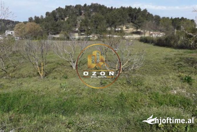 Truall ose Toke ne Tirane - 196,000 Euro