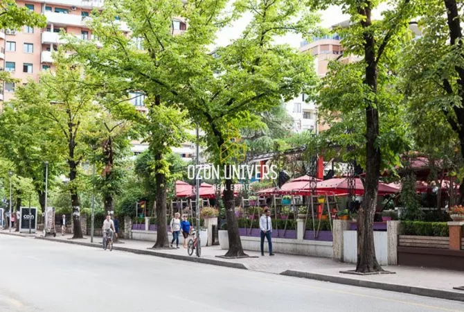 Business Property for Rent 3+1 in Tirana - 5,500 Euro
