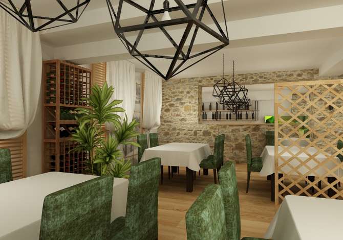 Ambient biznesi me qera 2+1 ne Tirane - 1,500 Euro