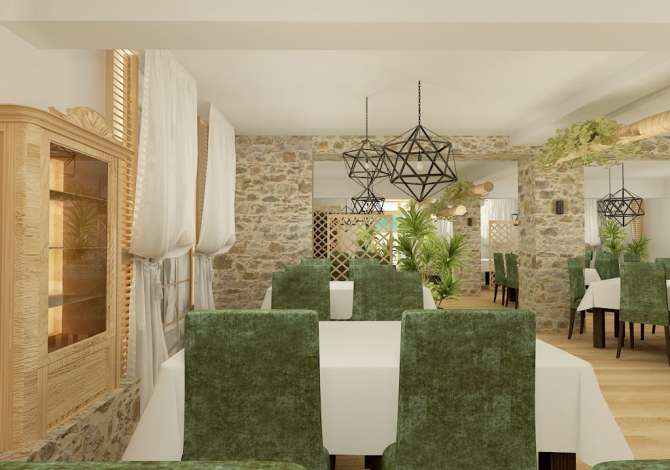 Ambient biznesi me qera 2+1 ne Tirane - 1,500 Euro