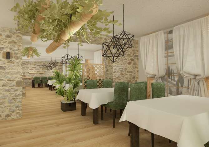 Ambient biznesi me qera 2+1 ne Tirane - 1,500 Euro