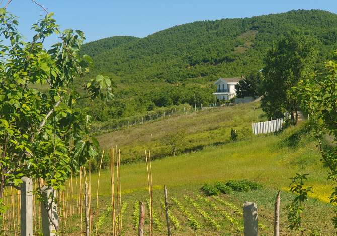 Truall ose Toke ne Durres - 38,000 Euro