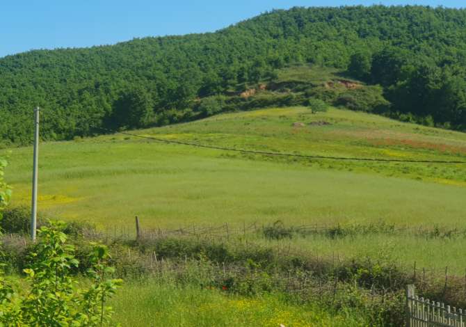 Truall ose Toke ne Durres - 38,000 Euro