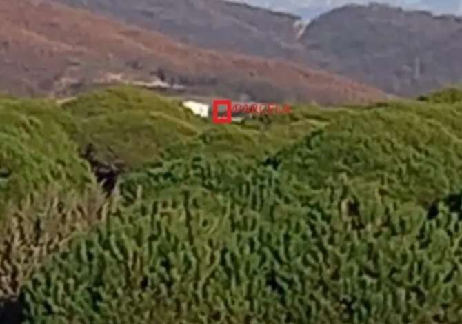 Land for Sale  in Durres - 50,000 Euro
