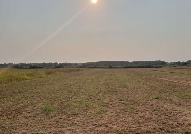 Shitet truall Gjiri Lalzit 