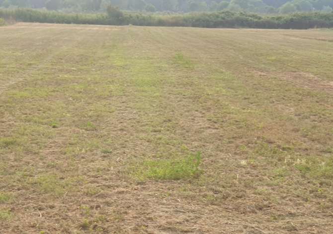 Truall ose Toke  ne Durres - 400,000 Euro