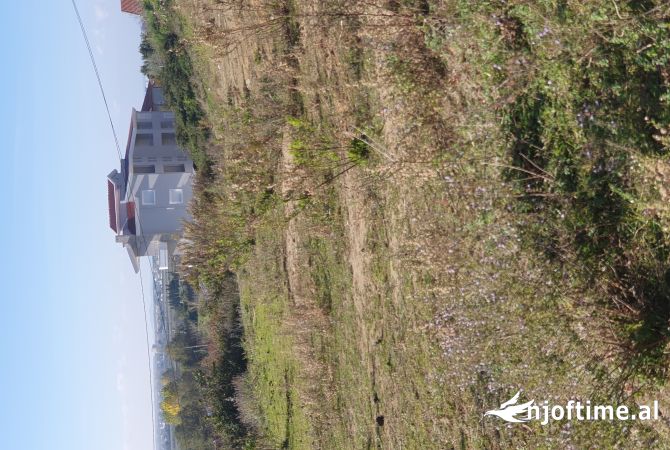 Truall ose Toke  ne Durres - 90,000 Euro