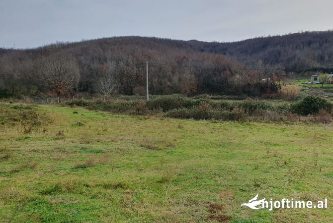 Land for Sale  in Durres - 50,000 Euro