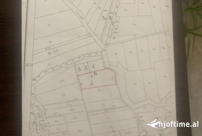 Truall ose Toke  ne Tirane - 296,000 Euro