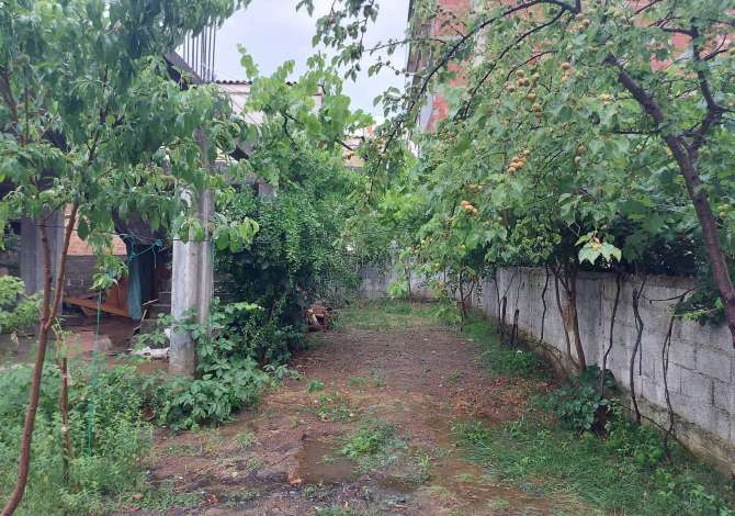 Truall ose Toke ne Tirane - 1,000 Euro