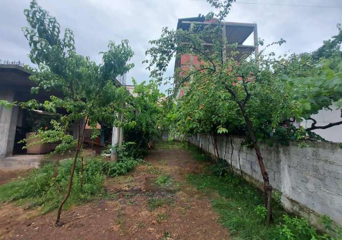 SHITET TRUALL ME NDERTESE 1 KAT