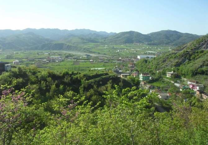 Truall ose Toke  ne Tirane - 270,000 Euro