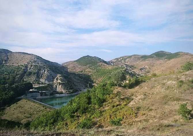 Truall ose Toke  ne Tirane - 270,000 Euro