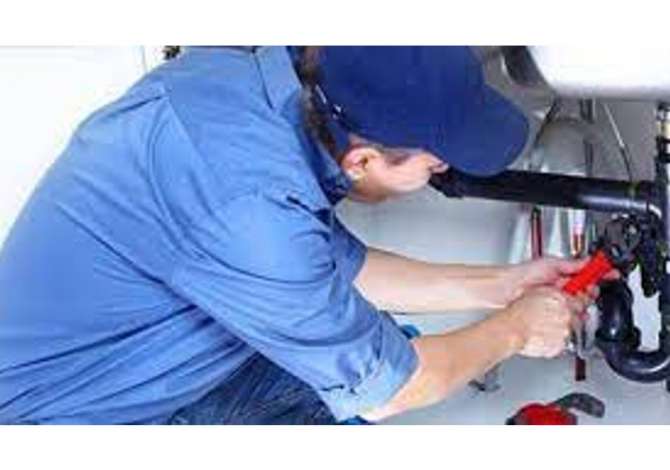 Environment maintenance  in Shkodra - 0 