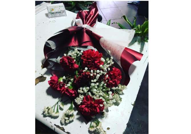 Holiday arrangements  in Lezha - 0 